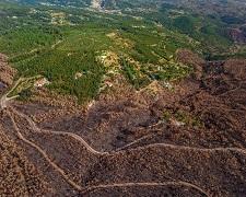 florestas em risco de incêndio em Portugal
