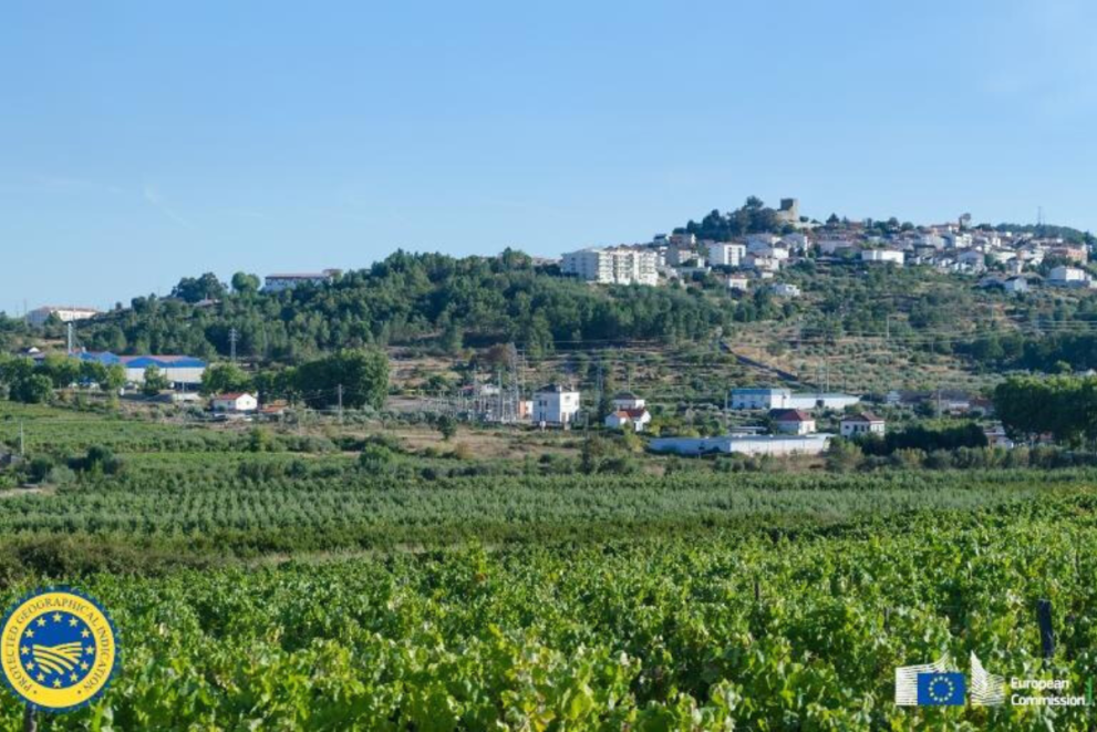 Terras das Beiras vinho vinhas indicação geográfica protegida